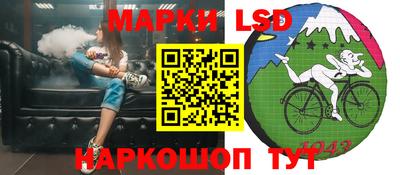 apvp Славгород