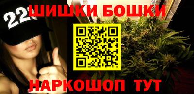 гидра Ставрополь