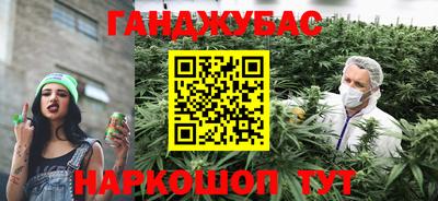 apvp Славгород